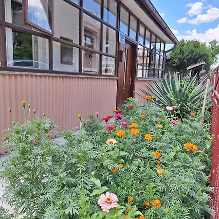 Vukovic Apartament *