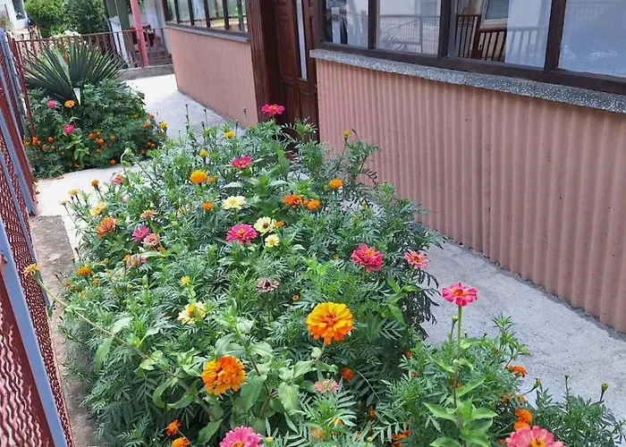 Vukovic * فوتشا