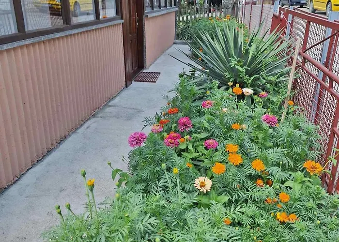 Vukovic * فوتشا